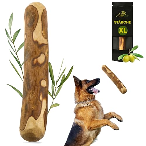 ANLOLIVE | 1 Stiel XL| 25 bis 27 cm – Natürliches Olivenholz Beißring für große Hunde: Gesund | Hilft Angst zu reduzieren von Anlolive