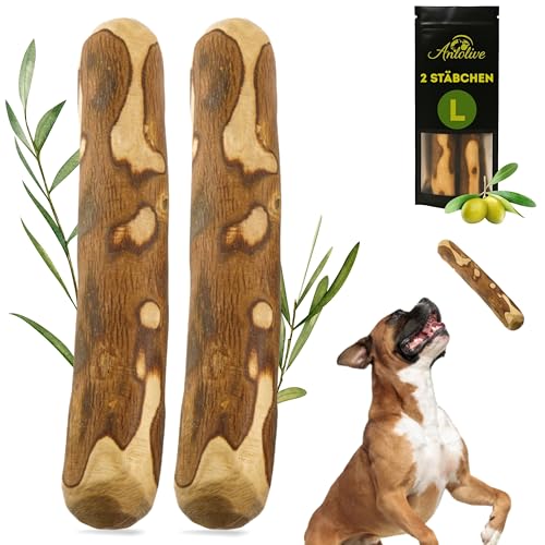Anlolive | Pack 2 Natürliche Kausticks Größe L 20-23 cm | Für Mittelgroße und Große Hunde | Olivenholz-Stick | Widerstandsfähig, Gesund und Sicher | Zahnpflege und Stresslinderung von Anlolive