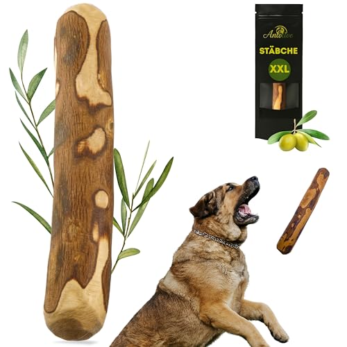 Anlolive | Natürlicher Kaustick Größe XXL 37 cm | Für Große und Riesen Hunde | Olivenholz-Stick | Widerstandsfähiges, Sicheres und Gesundes Spielzeug | Zahnpflege und Stresslinderung Anlolive | Natürlicher Kaustick Größe XXL 37 cm | Für Große und Riesen Hunde | Olivenholz-Stick | Widerstandsfähiges, Sicheres und Gesundes Spielzeug | Zahnpflege und Stresslinderung von Anlolive