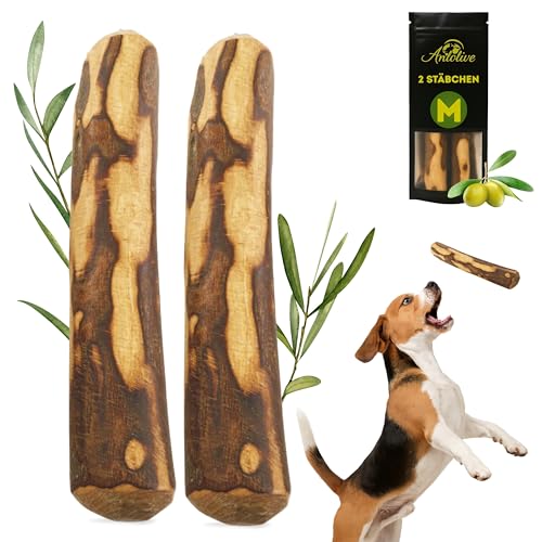 Anlolive | Pack 2 Natürliche Kausticks Größe M 18-20 cm | Für Mittelgroße Hunde | Olivenholz-Stick | Sicheres, Gesundes, Langlebiges Spielzeug | Pflegt die Zähne, Reduziert Angst, Stärkt den Kiefer von Anlolive