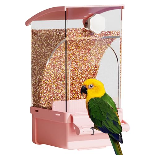 Anloximt Automatischer Vogelhäuschen für Käfig, Futter,Futtermittelspender - Behandlungsspender, Haustierversorgungen für Cockatiel -Kakerarienanbringliche Conure von Anloximt