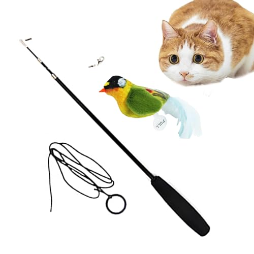 Anloximt Katzenfederstab,Vogel Design Zauberstab Federspielzeug | Interaktives Katzen-Teaser-Entwicklungsspielzeug für Haustiere, Kätzchen, Welpen Anloximt Katzenfederstab,Vogel Design Zauberstab Federspielzeug | Interaktives Katzen-Teaser-Entwicklungsspielzeug für Haustiere, Kätzchen, Welpen von Anloximt