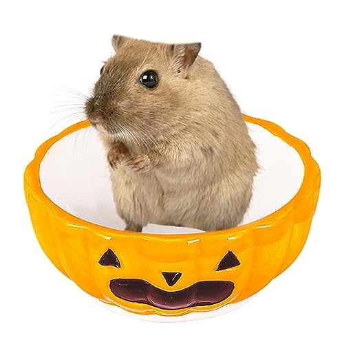 Hamster Keramik Futterschalen - Kaninchen Zubehoer Futternapf - Hamster Futternapf Keramik - Anti-Biss Keramik Futterschalen | Für Wüstenrennmaus, Hamster, Hase, Bowl von Anloximt