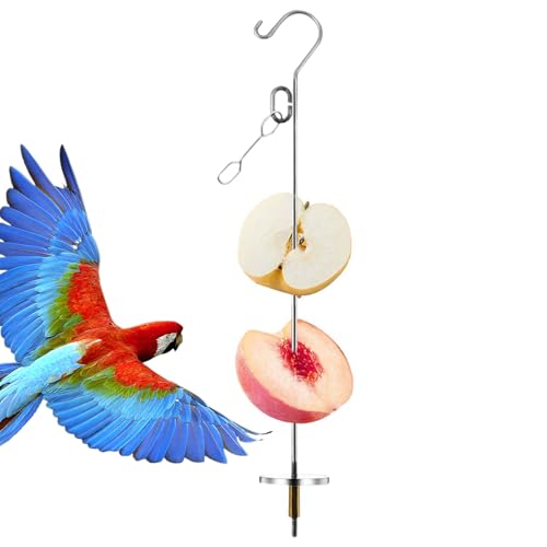 PapageienSpieß - Vogelobstspieße - Papageienfutterspieß - Edelstahl Kleintier Obst Gemüses Stick Halter - Papageienspielzeug Für Wellensittiche, Sittiche, Nymphensittiche PapageienSpieß - Vogelobstspieße - Papageienfutterspieß - Edelstahl Kleintier Obst Gemüses Stick Halter - Papageienspielzeug Für Wellensittiche, Sittiche, Nymphensittiche von Anloximt