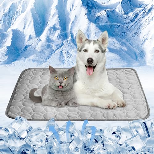 Anluomania Kühlmatte für Hunde, Kühlmatte Hunde 55x70cm, Selbstkühlende Hundematte Waschbar, Verschleißfest Kühldecke Katzen, Kühldecke für Drinnen, Draußen und Auto Anluomania Kühlmatte für Hunde, Kühlmatte Hunde 55x70cm, Selbstkühlende Hundematte Waschbar, Verschleißfest Kühldecke Katzen, Kühldecke für Drinnen, Draußen und Auto von Anluomania