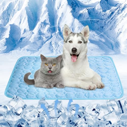 Anluomania Kühlmatte für Hunde, Kühlmatte Hunde 55x70cm, Selbstkühlende Hundematte Waschbar, Verschleißfest Kühldecke Katzen, Kühldecke für Drinnen, Draußen und Auto Anluomania Kühlmatte für Hunde, Kühlmatte Hunde 55x70cm, Selbstkühlende Hundematte Waschbar, Verschleißfest Kühldecke Katzen, Kühldecke für Drinnen, Draußen und Auto von Anluomania