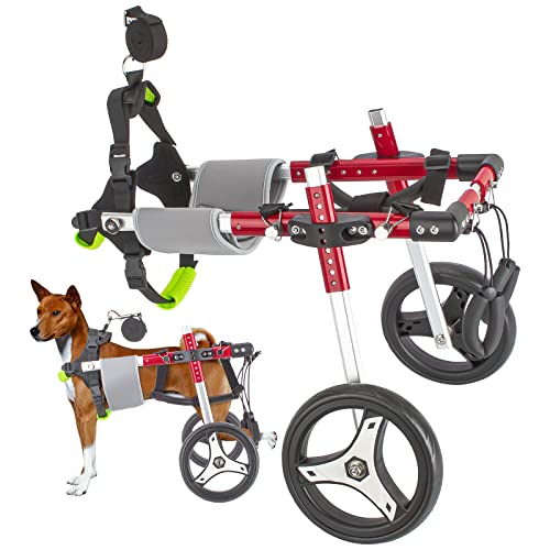 Anmas Box Hunderollstuhl, mittelgroßer Haustier-Hunderollstuhl, Hunde-Mobilitätsgeschirr, Rollstuhl, zwei Räder, verstellbarer Hunderollstuhl für die Rehabilitation der Hinterbeine Anmas Box Hunderollstuhl, mittelgroßer Haustier-Hunderollstuhl, Hunde-Mobilitätsgeschirr, Rollstuhl, zwei Räder, verstellbarer Hunderollstuhl für die Rehabilitation der Hinterbeine von Anmas Box