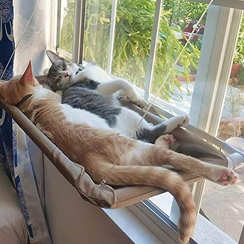 Katzen-Hängematte, Sonnenbad Katzen Fensterplatz Window Lounger Katzen Hängematte,Hält bis über 15 kg Hängematte für Katzen von Anmas Power