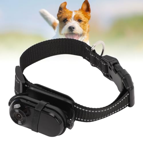 Haustier Kamerahalsband, HD 1080P Haustierkameras Katzenhalsband Action Kamera mit Verstellbarer Halterung, Hundehalsband Kamera für Heimtierbedarf, Kamera für Katzen, Hunde von Annadue