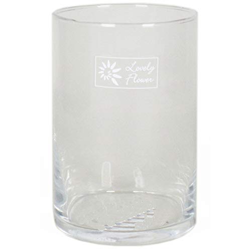 6 x Zylinder Glas als Windlicht oder Terrarium für Pflanzen H 15 cm von Annastore