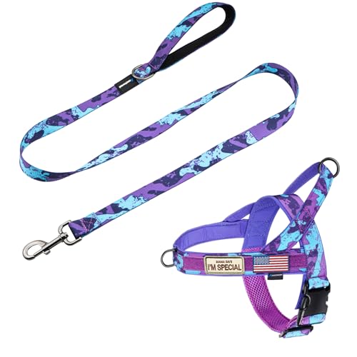 Annchwool Hundegeschirr gegen Ziehen, mit gepolstertem Griff und 152 cm Leine, ausbruchsicher und schnell anpassbar, einfach für Training und Spaziergänge für kleine, mittelgroße und große Hunde, Annchwool Hundegeschirr gegen Ziehen, mit gepolstertem Griff und 152 cm Leine, ausbruchsicher und schnell anpassbar, einfach für Training und Spaziergänge für kleine, mittelgroße und große Hunde, von Annchwool