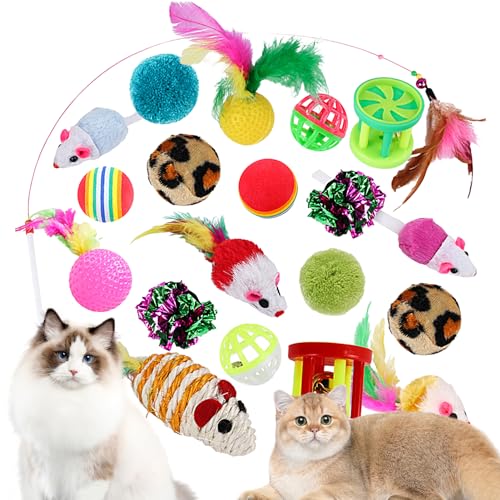 Annewi Katzenspielzeug-Packungen, interaktives Kätzchen-Spielzeug, verschiedene Katzenspielzeuge mit Katzenfeder-Teaser, bunte Bälle für Indoor-Katzen, 20 Stück Annewi Katzenspielzeug-Packungen, interaktives Kätzchen-Spielzeug, verschiedene Katzenspielzeuge mit Katzenfeder-Teaser, bunte Bälle für Indoor-Katzen, 20 Stück von Annewi