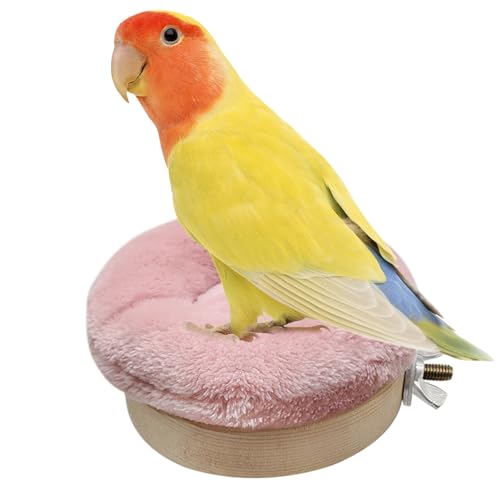 Annewi Vogel-Sitzstangen für Papageien, Papageien-Plattform, großes Standregal für Vögel, Wellensittiche, Sittiche, Nymphensittiche, Kakadu, Ara mit Plüschunterlage Annewi Vogel-Sitzstangen für Papageien, Papageien-Plattform, großes Standregal für Vögel, Wellensittiche, Sittiche, Nymphensittiche, Kakadu, Ara mit Plüschunterlage von Annewi