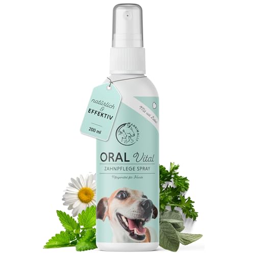 Annimally Dentalspray für Hunde 200ml - Zahnpflege Dental Spray gegen Mundgeruch und zur Vorbeugung von Zahnstein u.a. mit Pfefferminze, Salbei, Propolis, Calcium & Eibischwurzel von Annimally