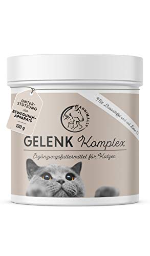 Annimally Gelenk Pulver für Katzen I 120g für 4 Monate - Die Alternative zu Gelenktabletten - Gelenkfit Pulver mit Grünlippmuschel, MSM, Teufelskralle, Taurin, Glucosamin und Kurkuma von Annimally