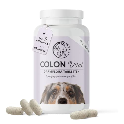 Annimally® Probiotika für Hunde mit 1,5 Mrd. KBE - 120 Tabletten für eine gesunde Darmflora - Darmbakterien zur Darmsanierung & bei Durchfall für den Hund - Immunsystem stärken von Annimally