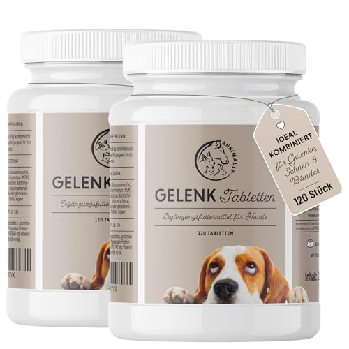 Gelenktabletten für Hunde mit MSM, Grünlippmuschel, Teufelskralle, Glucosamin & Hyaluron - 2 Dosen á 120 Gelenke Tabletten für Hunde - Hohe Akzeptanz beim Hund durch kleine Tabletten - Doppelpack Gelenktabletten für Hunde mit MSM, Grünlippmuschel, Teufelskralle, Glucosamin & Hyaluron - 2 Dosen á 120 Gelenke Tabletten für Hunde - Hohe Akzeptanz beim Hund durch kleine Tabletten - Doppelpack von Annimally