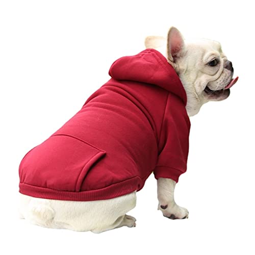 Anomidry hundebekleidung & zubehã¶r Herbst und Winter Warmer Pullover Jeanstasche Zwei Fuß Sportart Haustierkleidung Hundekatzenkleidung (Color : A, Size : XS) von Anomidry