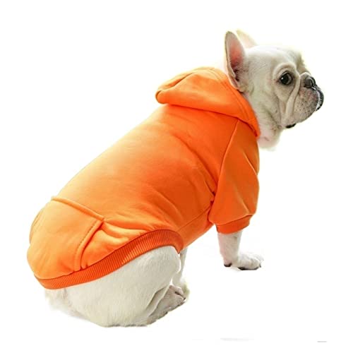 Anomidry hundebekleidung & zubehã¶r Herbst und Winter Warmer Pullover Jeanstasche Zwei Fuß Sportart Haustierkleidung Hundekatzenkleidung (Color : F, Size : L) von Anomidry