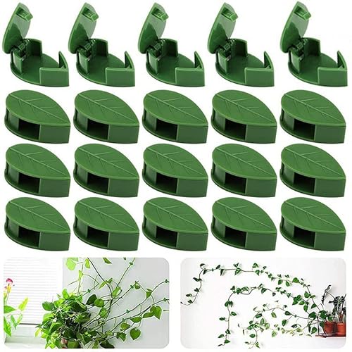 Anoudon 20pcs grüne unsichtbare Wand Rattan Befestigungsclip, Pflanze Klettern Befestigungsgerät, Selbstklebende Befestigungshaken Rattan Befestigungsgerät von Anoudon