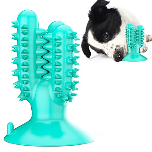 Anoudon Hundespielzeug, BPA-freies TPR-Material Unverwüstliches Kauspielzeug, Welpe Kauen für Zahnende Welpen, Langlebiges Gummi Squeaky Spielzeug für kleine bis mittlere Hunde Dog Cactus Chew von Anoudon
