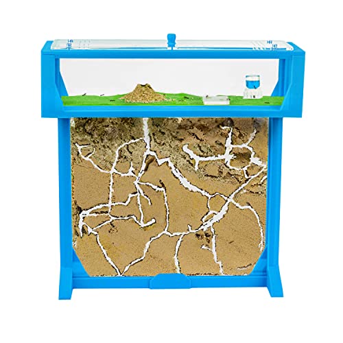 AntHouse - 3D Ameisenfarm aus Sand | Blau T Kit 25x20x1,5 cm | Inklusive Ameisenkolonie von AntHouse