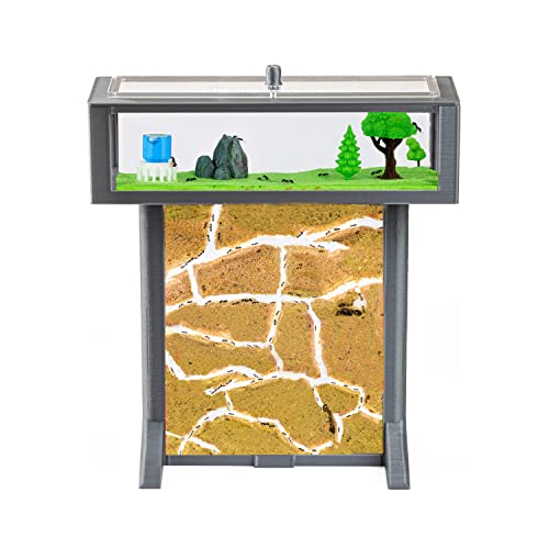 AntHouse - 3D Ameisenfarm aus Sand | Grau T Kit 15x15x1,5 cm | Inklusive Ameisen von AntHouse