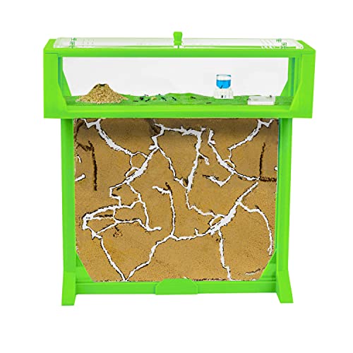 AntHouse - 3D Ameisenfarm aus Sand | Grün T Kit 25x20x1,5 cm | Inklusive Ameisenkolonie von AntHouse