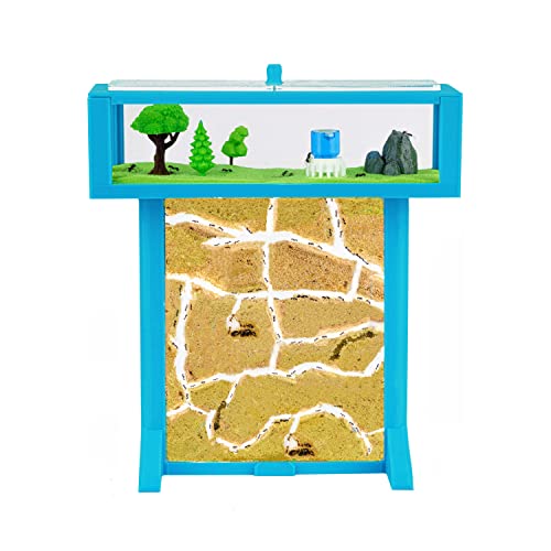 AntHouse - 3D Ameisenfarm aus Sand | Blau T Kit 15x15x1,5 cm | Inklusive Ameisen von AntHouse