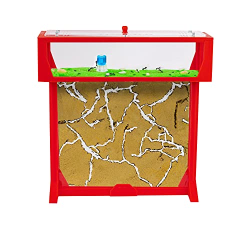 AntHouse - 3D Ameisenfarm aus Sand | Rot T Kit 25x20x1,5 cm | Inklusive Ameisenkolonie von AntHouse