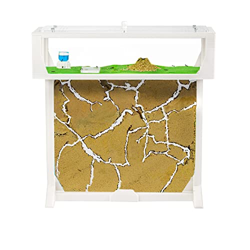 AntHouse - 3D Ameisenfarm aus Sand | Weiß T Kit 25x20x1,5 cm | Inklusive Ameisenkolonie von AntHouse