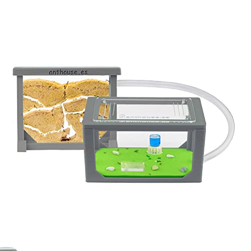 AntHouse - Ameisenfarm aus Sand | 3D Mini Set (Sandwich + Futterbox) |Grau Ant Farm | Inklusive Ameisenkolonie von AntHouse