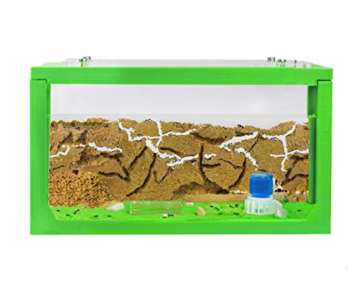 AntHouse - Ameisenfarm mit Ameisen Starterset | 3D Ameisenfarm 20x10x10 cm Grün | Ameisen inklusive von AntHouse