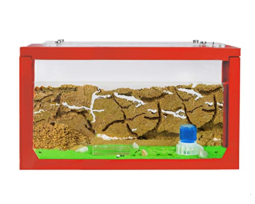 AntHouse - Ameisenfarm mit Ameisen Starterset | 3D Ameisenfarm 20x10x10 cm Rot | Ameisen inklusive von AntHouse