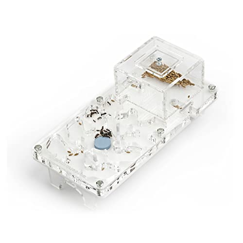 AntHouse - Ant Farm Educational Kit - Pilzmodell - 10x20x1,3 cm - Transparent - Freie Ameisen von AntHouse