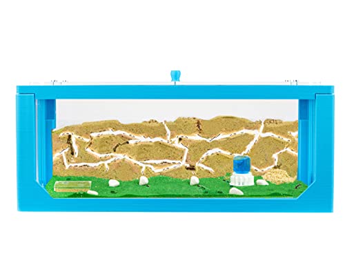 AntHouse - Natürliche Ameisenfarm aus Sand | 3D Blau Big Starter Set 30x15x10 cm | Inklusive Ameisenkolonie von AntHouse