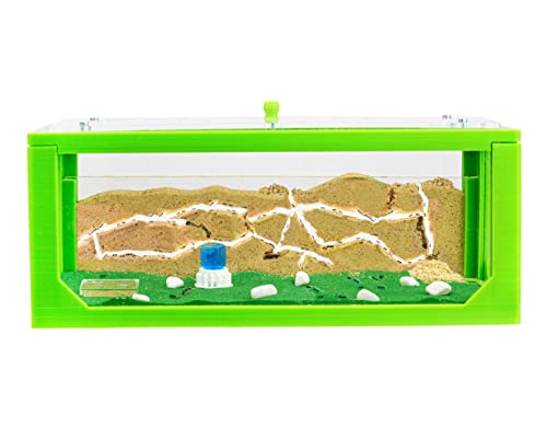 AntHouse - Natürliche Ameisenfarm aus Sand | 3D Grün Big Starter Set 30x15x10 cm | Inklusive Ameisenkolonie AntHouse - Natürliche Ameisenfarm aus Sand | 3D Grün Big Starter Set 30x15x10 cm | Inklusive Ameisenkolonie von AntHouse