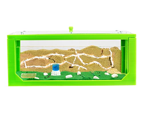 AntHouse - Natürliche Ameisenfarm aus Sand | 3D Grün Big Starter Set 30x15x10 cm | Inklusive Ameisenkolonie von AntHouse