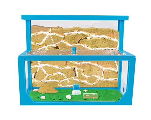 AntHouse - Natürliche Ameisenfarm aus Sand 3D | Modell L (Sandwich + Futterbox) Blau | Ant Farm |Inklusive Ameisenkolonie von AntHouse