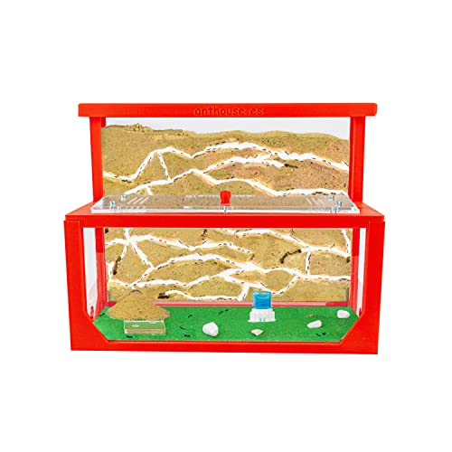 AntHouse - Natürliche Ameisenfarm aus Sand 3D | Modell L (Sandwich + Futterbox) Rot | Inklusive Ameisenkolonie von AntHouse