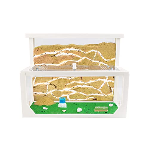 AntHouse - Natürliche Ameisenfarm aus Sand 3D | Modell L (Sandwich + Futterbox) Weiß | Ant Farm | Inklusive Ameisenkolonie von AntHouse