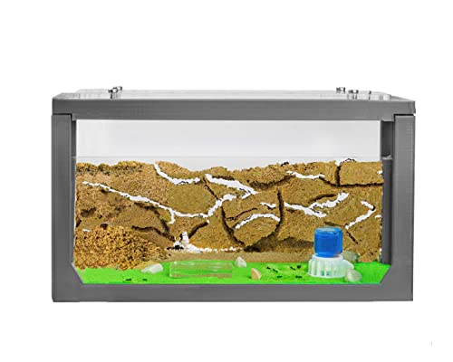 AntHouse - Natürliche Ameisenfarm aus Sand | 3D Starter Kit Grau 20x10x10 cm | Inklusive Ameisen von AntHouse