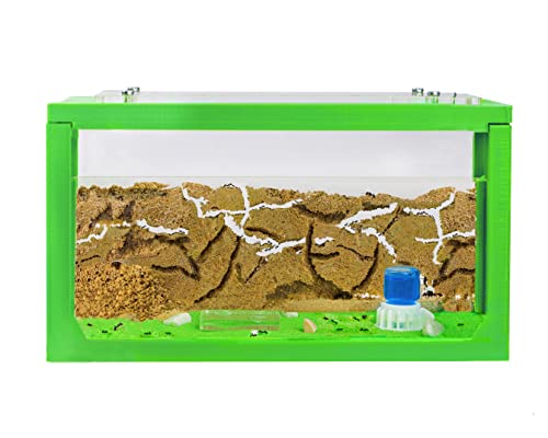 AntHouse - Natürliche Ameisenfarm aus Sand | 3D Starter Kit Grün 20x10x10 cm | Inklusive Ameisen von AntHouse
