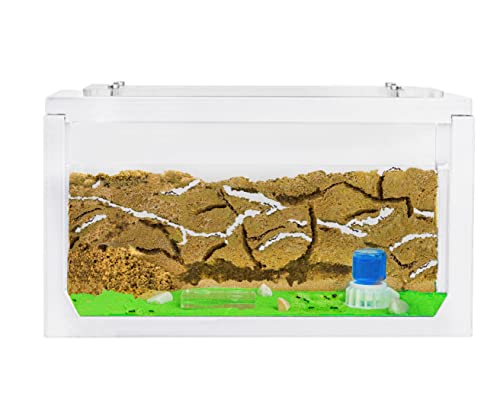 AntHouse - Natürliche Ameisenfarm aus Sand | 3D Starter Kit Weiß 20x10x10 cm | Inklusive Ameisen von AntHouse