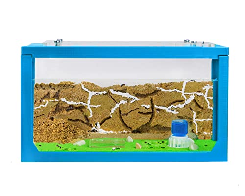 AntHouse - Natürliche Ameisenfarm aus Sand | 3D Starter Set 20x10x10 cm Blau | Einschließlich Ameisen von AntHouse