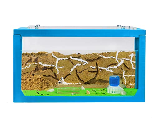 AntHouse - Natürliche Ameisenfarm aus Sand | 3D Starter Set 20x10x10 cm Blau | Einschließlich Ameisen von AntHouse