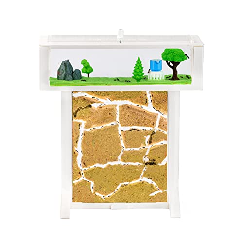 AntHouse - 3D Ameisenfarm aus Sand | Weiß T Kit 15x15x1,5 cm | Inklusive Ameisen von AntHouse