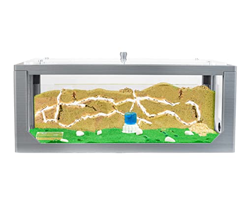 AntHouse - Natürliche Ameisenfarm aus Sand Grau | 3D Big Starter Set 30x15x10 cm | Ant Farm | Inklusive Ameisenkolonie von AntHouse