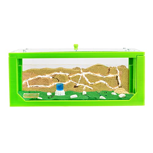 AntHouse - Natürliche Ameisenfarm aus Sand Grün | 3D Big Starter Set 30x15x10 cm | Ant Farm | Inklusive Ameisenkolonie von AntHouse