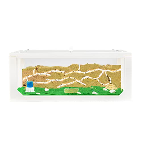 AntHouse - Natürliche Ameisenfarm aus Sand Weiß | 3D Big Starter Set 30x15x10 cm | Ant Farm | Inklusive Ameisenkolonie AntHouse - Natürliche Ameisenfarm aus Sand Weiß | 3D Big Starter Set 30x15x10 cm | Ant Farm | Inklusive Ameisenkolonie von AntHouse